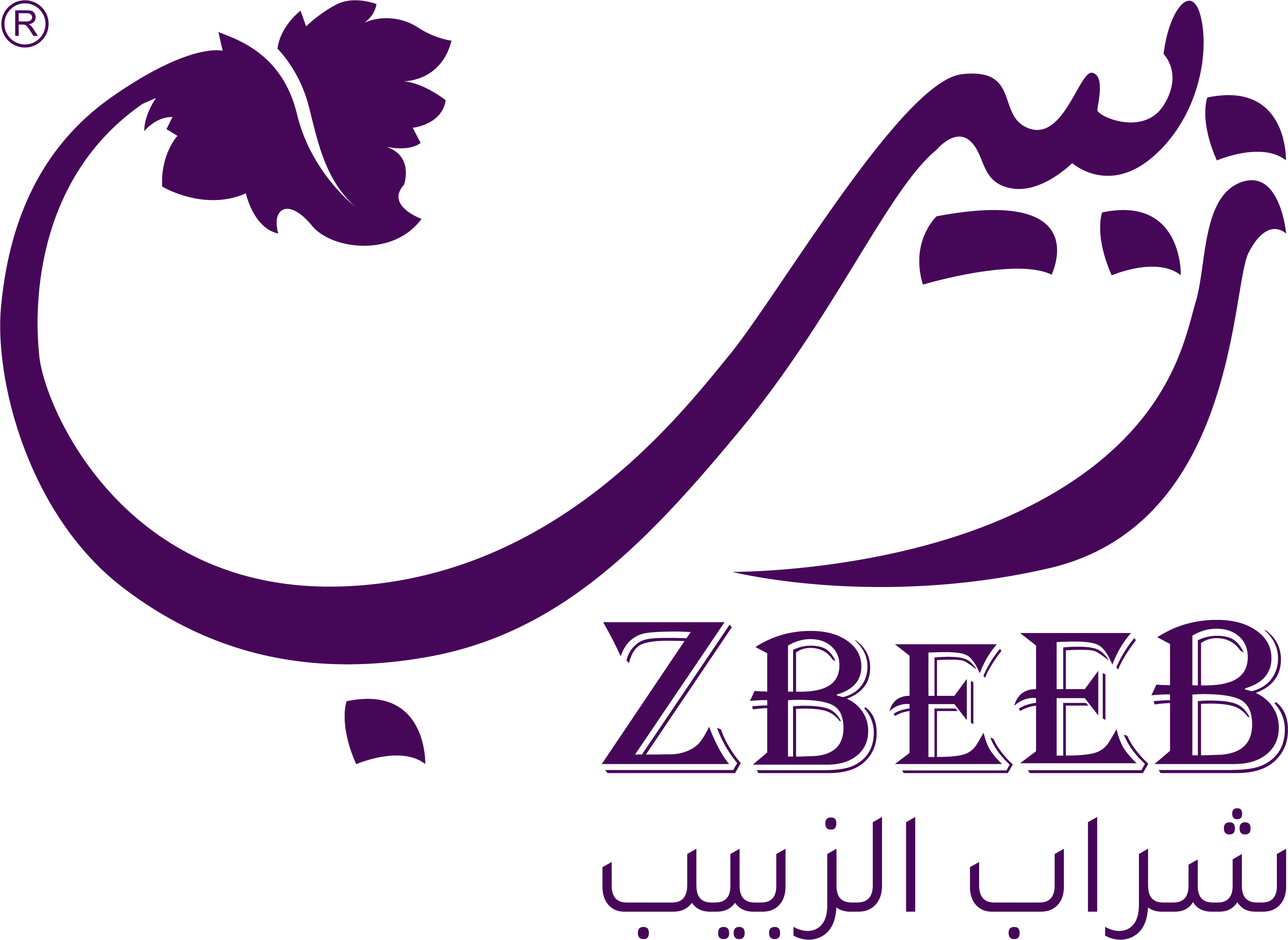 Zbeeb